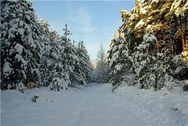 应对圣诞假期 索尼包租波音747将PS5运到英国