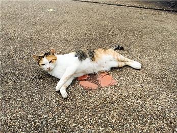 曝《使命召唤18》榨干PS5机能 目前画面最好游戏之一