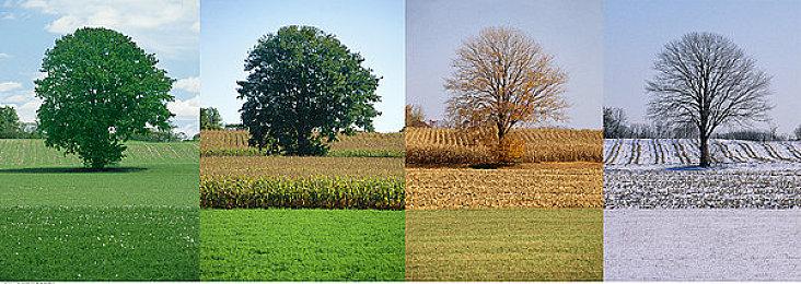 《迪士尼梦幻星谷》DLC“玩具总动员”金秋相会