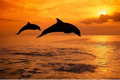 传闻：《帝国时代》未来新作或将采用虚幻引擎开发